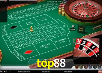 VIP Casino top88